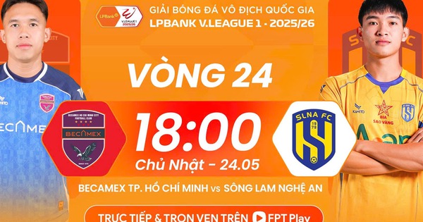 Cá cược bóng đá online