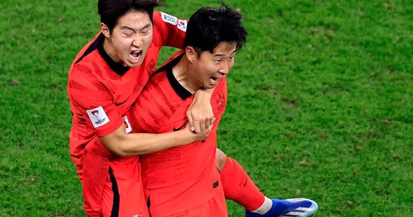 F8BET cược thể thao: So tài Á – Phi tại World Cup 2026 – Cơ hội vàng cho người chơi Việt? - hình ảnh - f8betvip.vip