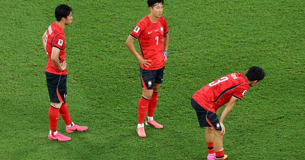 F8BET và làn sóng thất vọng sau màn trình diễn tệ nhất lịch sử của Hàn Quốc tại World Cup - hình ảnh - f8betvip.vip