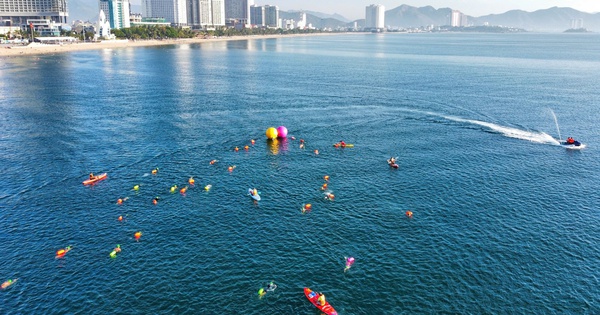 F8BET đồng hành cùng giải bơi biển SeaStar Nha Trang Bay 2026 - hình ảnh - f8betvip.vip