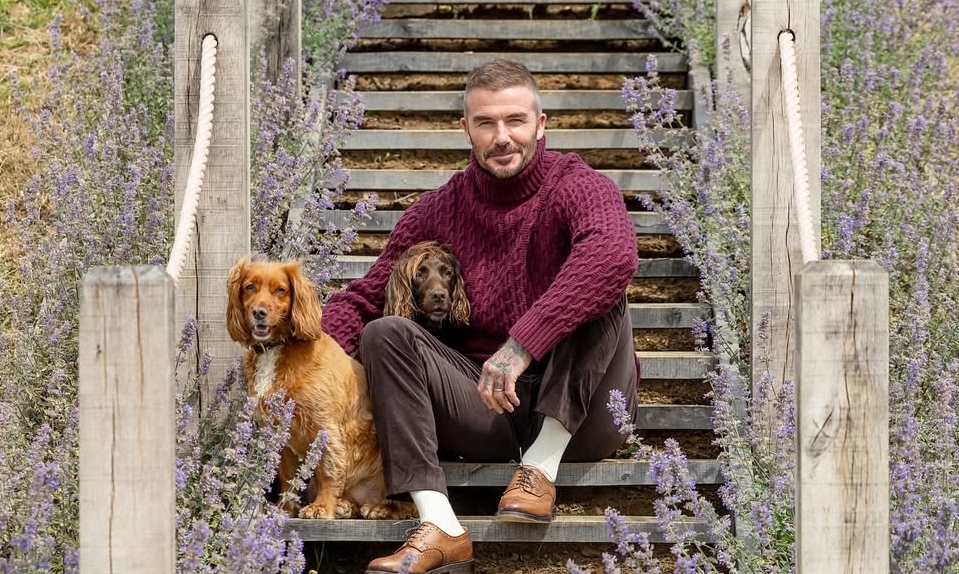 F8BET chính thức: Phong cách thời thượng ‘giàu ngầm’ của David Beckham truyền cảm hứng cho giới trẻ Việt - hình ảnh - f8betvip.vip F8BET chính thức: Phong cách thời thượng ‘giàu ngầm’ của David Beckham truyền cảm hứng cho giới trẻ Việt - hình ảnh - f8betvip.vip