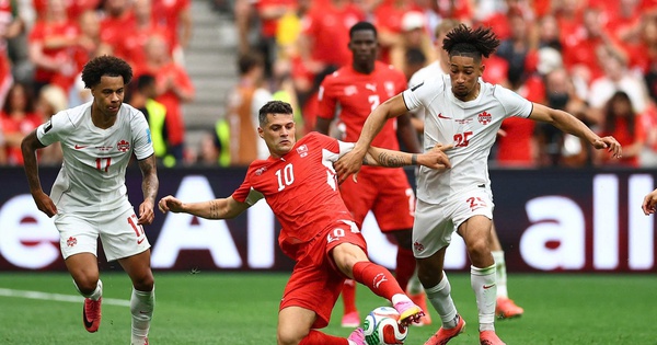 F8BET cược thể thao: Thụy Sĩ vs Algeria – Cửa trên sáng giá tại vòng loại World Cup - hình ảnh - f8betvip.vip F8BET cược thể thao: Thụy Sĩ vs Algeria – Cửa trên sáng giá tại vòng loại World Cup - hình ảnh - f8betvip.vip